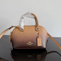 Bolso COACH CC-001 (22*12.5*10cm)
