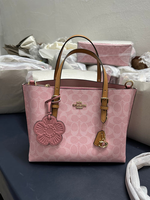 Bolso COACH CC-019