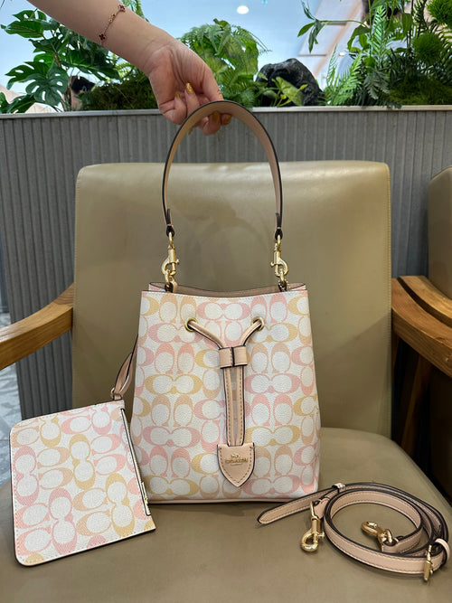 Bolso COACH CC-020 (21*21*14cm)